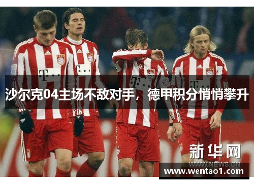 沙尔克04主场不敌对手，德甲积分悄悄攀升