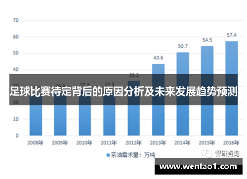 足球比赛待定背后的原因分析及未来发展趋势预测