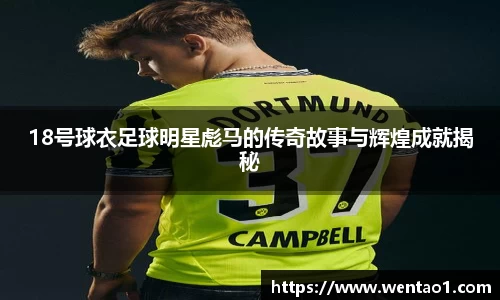 18号球衣足球明星彪马的传奇故事与辉煌成就揭秘